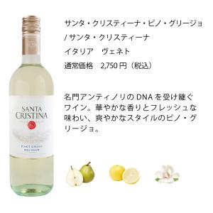 ワイン ワインセット エノテカ 辛口白ワイン6...の詳細画像3