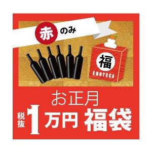 【完売につき追加販売！】お正月 1万円福袋（赤ワイン6本セット）FO12-1〜3  / 750ml×6