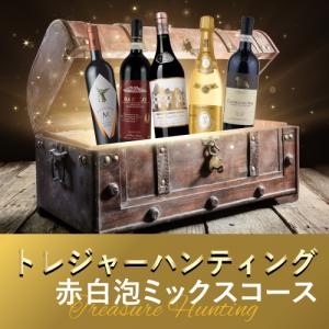 【ご好評につき完売しました！】ワイン ワインくじ トレジャーハンティング 赤白泡ミックスコース TH1-1 [750ml × 1]【最長お届け1/29まで】