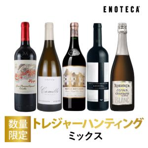 ワイン ワインくじ トレジャーハンティング 11,000円ミックス TH1-1 [750ml × 1]【1/15以降出荷】