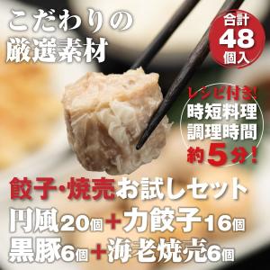 餃子・焼売満腹セット 円風餃子20個 力餃子16個 黒豚焼...