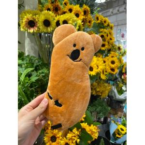 くたくたあおむし ペンケース (はらぺこあおむし) : まるる商店 - 通販