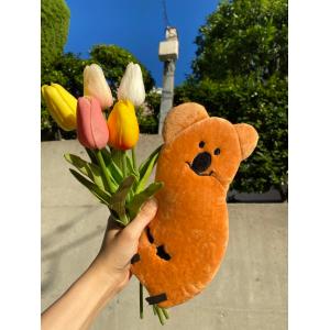 クオッカ ぬいぐるみ ペンケース かわいい 韓...の詳細画像1