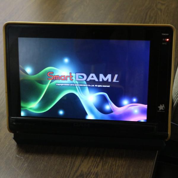 【送料無料】第一興商 SmartDAM TM20+充電器 TMC20セット デンモク リモコン 大型...