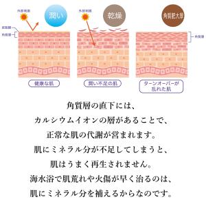 焼塩 夢石けん 60g [ ゆうパケット送料無...の詳細画像4