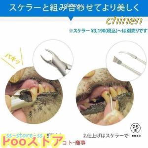 愛犬・愛猫用 歯石取り ペンチ 犬 歯石 デン...の詳細画像2