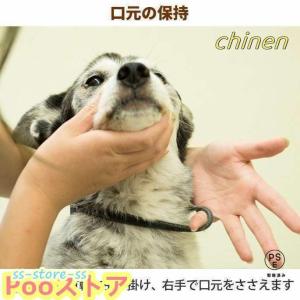 愛犬・愛猫用 歯石取り ペンチ 犬 歯石 デン...の詳細画像3