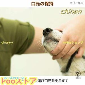 愛犬・愛猫用 歯石取り ペンチ 犬 歯石 デン...の詳細画像4