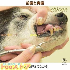 愛犬・愛猫用 歯石取り ペンチ 犬 歯石 デン...の詳細画像5