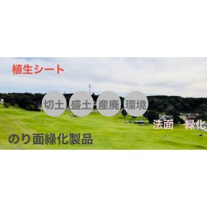 4本入ロンケットスパイダー幅1m×10m巻 【...の詳細画像3
