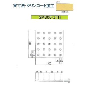 【磁器点字タイル】300×300×12mm吸水...の詳細画像3