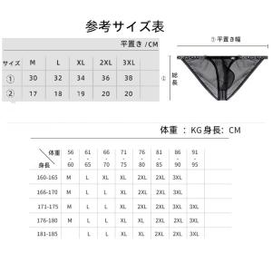 メンズビキニ ブリーフ シースール ハイカット...の詳細画像2