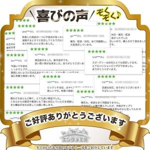 Wii U プレミアムセット kuro 黒 本...の詳細画像4