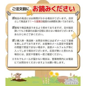 PS2 メモリーカード 8MB プレステ2 プ...の詳細画像3