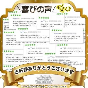 ドリキャス DC コントローラ DC コントロ...の詳細画像1