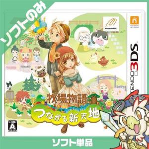 任天堂（Nintendo） 3DS ニンテンドー3DS とんがりボウシと魔法の町
