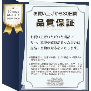 DS ニンテンドーDS 本体 すぐ遊べるセット...の詳細画像5