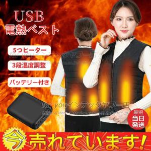 電熱ベスト ワークマン 電熱ベスト バッテリー付き