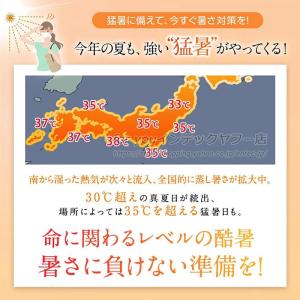 即納 空調ファンバッテリーセット 空調作業服用...の詳細画像1