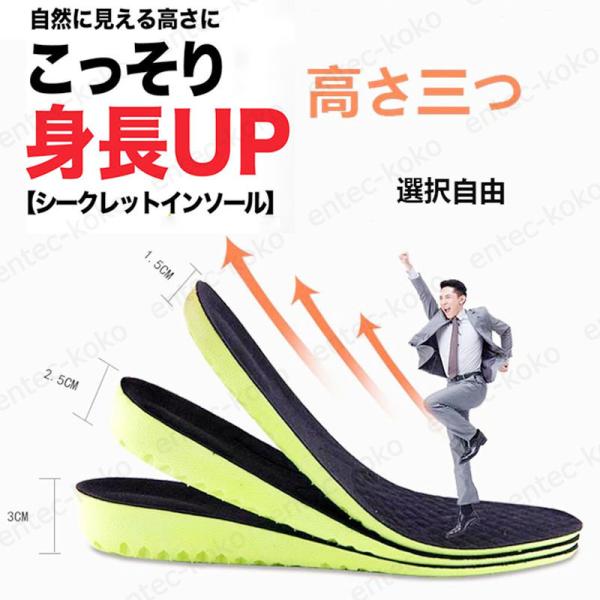 シークレットインソール 中敷き 脚長 美脚 身長UP レディース メンズ 防臭 抗菌インソール ニュ...