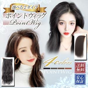 ウィッグ 部分ウィッグ ポイントウィッグ エクステ ヘアピース  つけ毛 かつら ウィッグ自然 ナチュラル｜enter-key