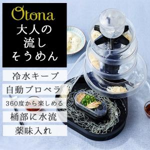流しそうめん 家電 大人の流しそうめん DWS-18 おとな...