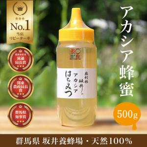 はちみつ 国産 低GI値 特選アカシア蜂蜜500g 無添加 純粋 TA500/坂井養蜂場 はちみつ ハチミツ ハニー 日本産 アカシア スイーツ 低糖質 ビタミン ミネラル