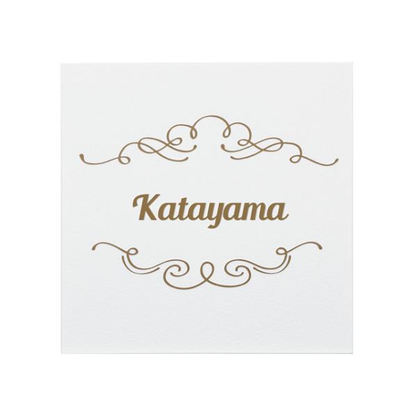 選べる書体 表札 サイン プレート 丸三タカギ コンチェルテ ステンレス CON-G2 幅180mm...