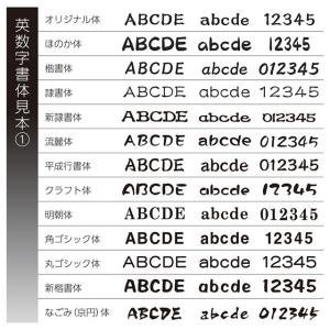 丸三タカギ 機能門柱 スマリオ対応表札 プレー...の詳細画像4