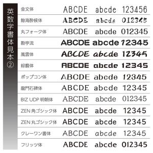 丸三タカギ 機能門柱 スマリオ対応表札 プレー...の詳細画像5