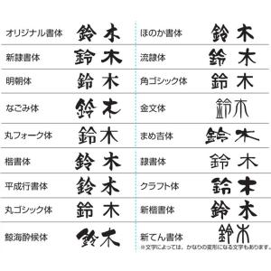 選べる書体 オーダー表札 丸三タカギ ドライエ...の詳細画像3