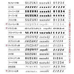 選べる書体 オーダー表札 丸三タカギ ドライエ...の詳細画像5