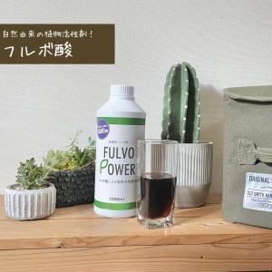 フルボ酸 植物活性剤 ミネラルキレート 天然活...の詳細画像4