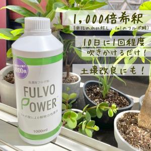 フルボ酸 植物活性剤 ミネラルキレート 天然活...の詳細画像5