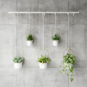 ガーデニング ハンギングプランター 吊り鉢 植物 壁掛け バスケット 吊り下げ Umbra アンブラ トリフローラ 5カップ