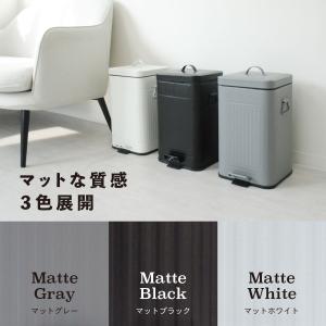 ゴミ箱 ごみ箱 ダストボックス 収納 インテリ...の詳細画像1