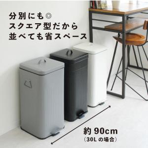 ゴミ箱 ごみ箱 収納 インテリア シンプル プ...の詳細画像2