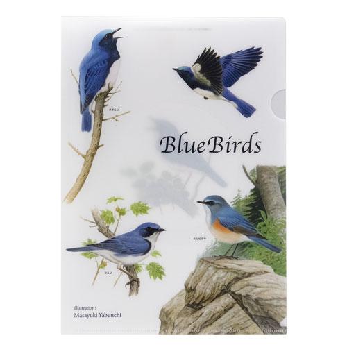 クリアファイル「BlueBirds（オオルリ/コルリ/ルリビタキ）」【薮内正幸イラストグッズ】