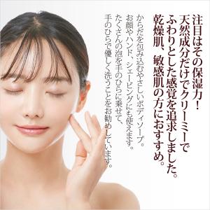 ボディソープ 泡 詰替 アロマ ボタニカノン ...の詳細画像1