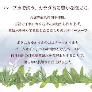 ボディソープ 泡 詰替 アロマ ボタニカノン ...の詳細画像2