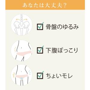 骨盤底筋 ショート ガードル 吸水帯 5cc対...の詳細画像2