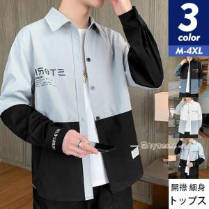 DESCENDANT◇長袖シャツ/2/コットン/マルチカラー/チェック : セカンド