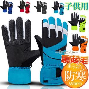 フェニックス（PHENIX） 手袋 phenix(フェニックス)Transcends Shade