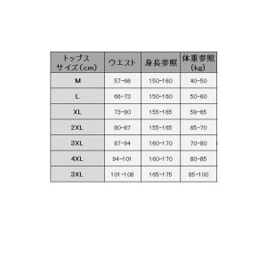 フィットネス水着 レディース 水着 セパレーツ...の詳細画像2