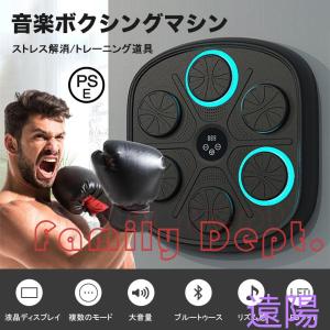 音楽ボクシングマシン ミュージックボクシングマシン スマートリズムボクシングマシーン 壁パンチングバッグ 壁掛けスマートボクシングトレーニング機器