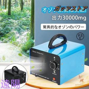オゾン発生器 日本製 低濃度オゾン除菌脱臭機 （エールピュール
