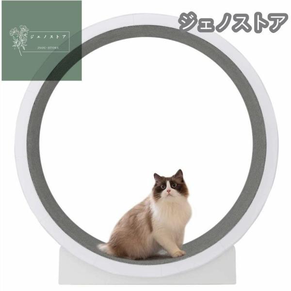 キャットホイール 猫の車輪 猫の回し車 猫のトレッドミルの車輪 猫のエクササイズホイール 猫ローラー...