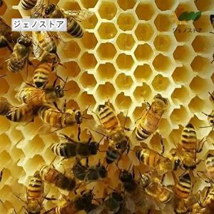 ミツバチ 巣箱 蜜蜂巣箱 4/6/7個 フロー...の詳細画像1