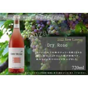 DRY ROSE 2024