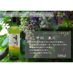 甲州　重川　2024